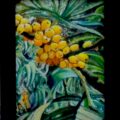 Bloemen